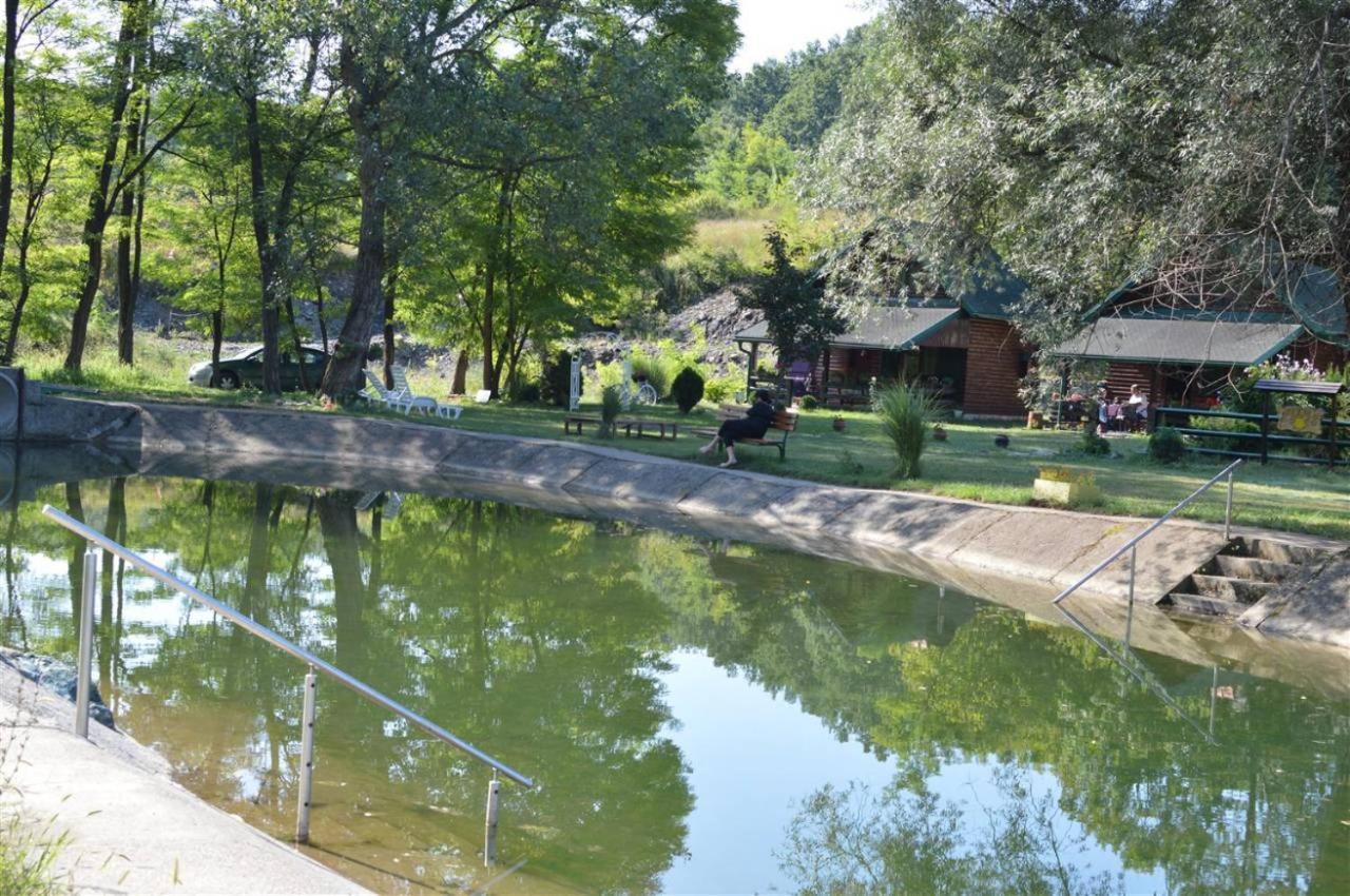 Holiday Homes Biser Lopatnice Lopatnica Экстерьер фото