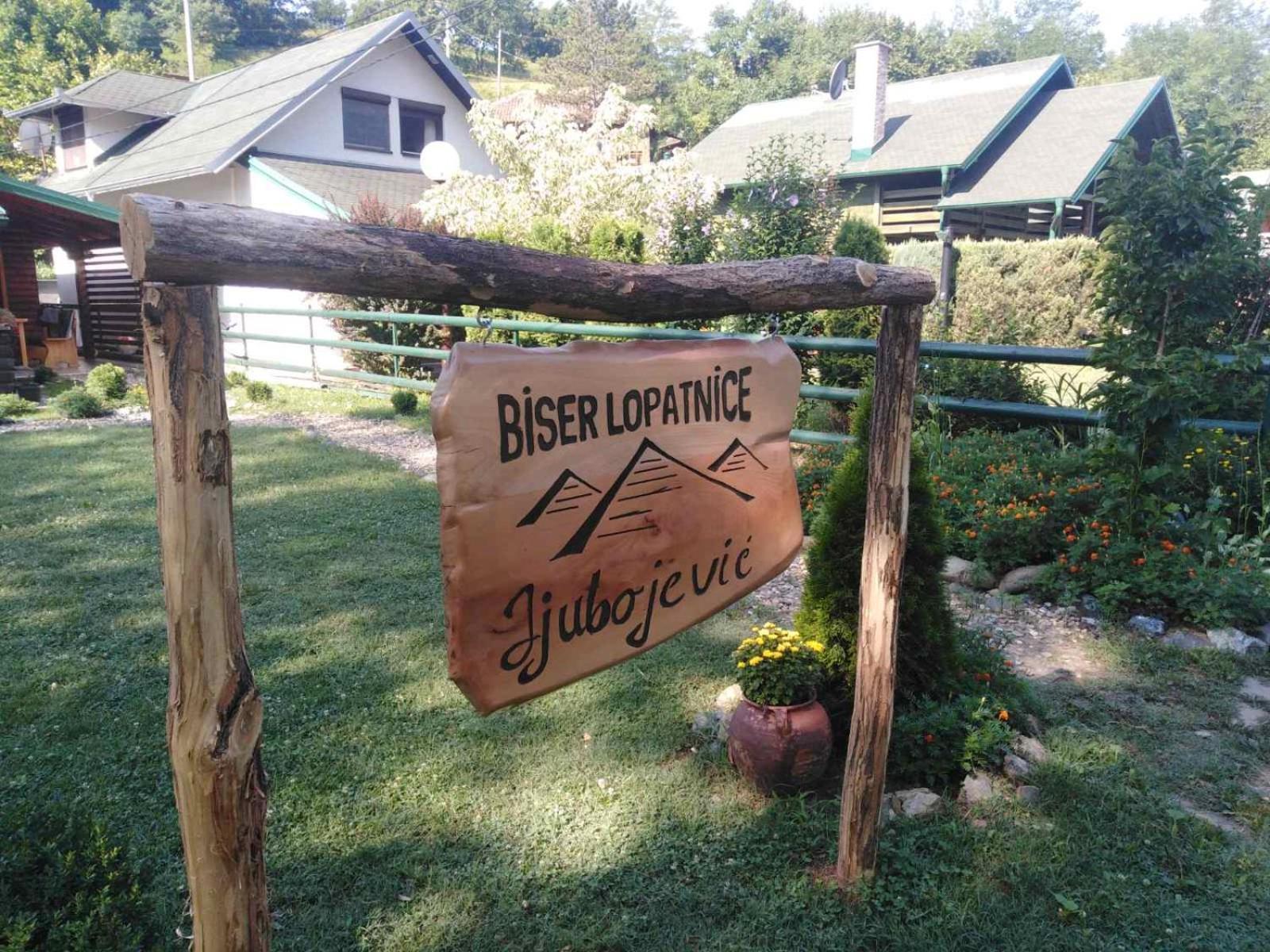 Holiday Homes Biser Lopatnice Lopatnica Экстерьер фото